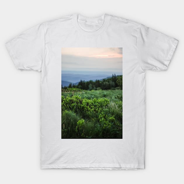 Meadow at the sunrise T-Shirt by artesonraju